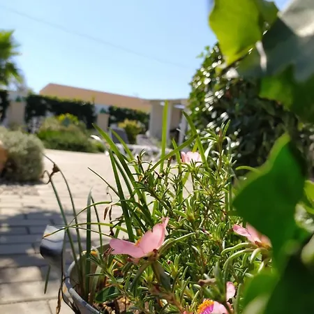Casa Sax Sava