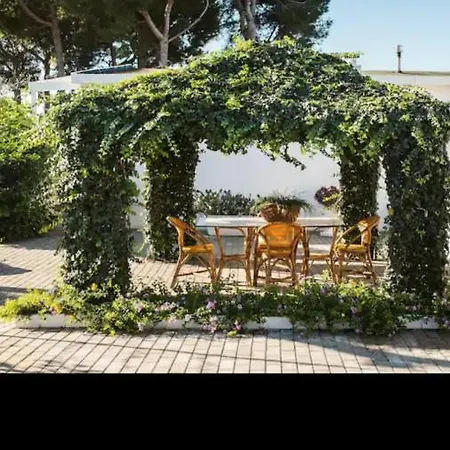 Casa Sax